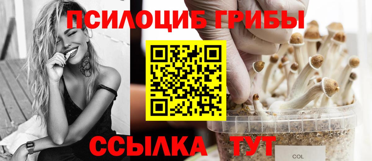 Галлюциногенные грибы Psilocybine cubensis Белореченск